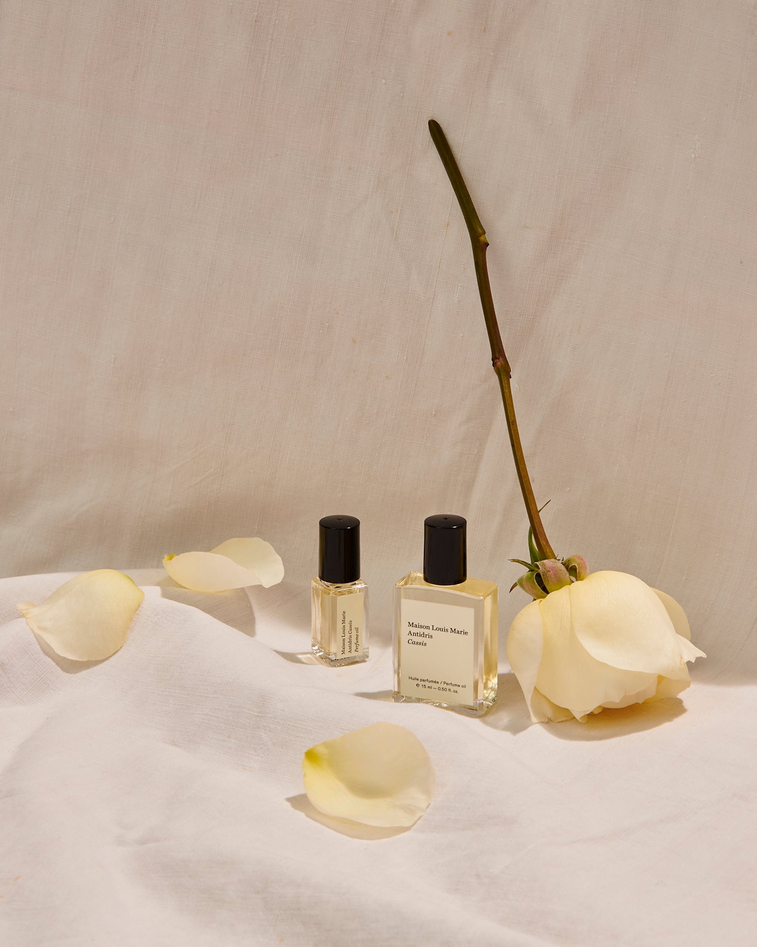 Antidris Cassis Perfume Oil Sample: Perfume Samples & Fragrance