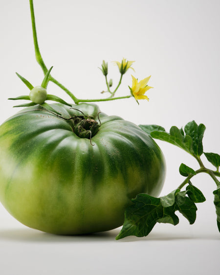 Candle - Liane de Tomate