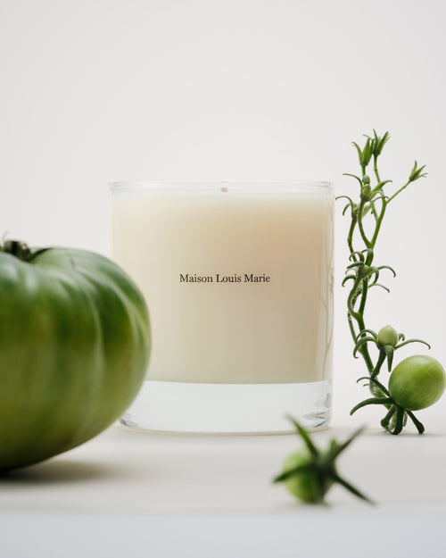 Candle - Liane de Tomate