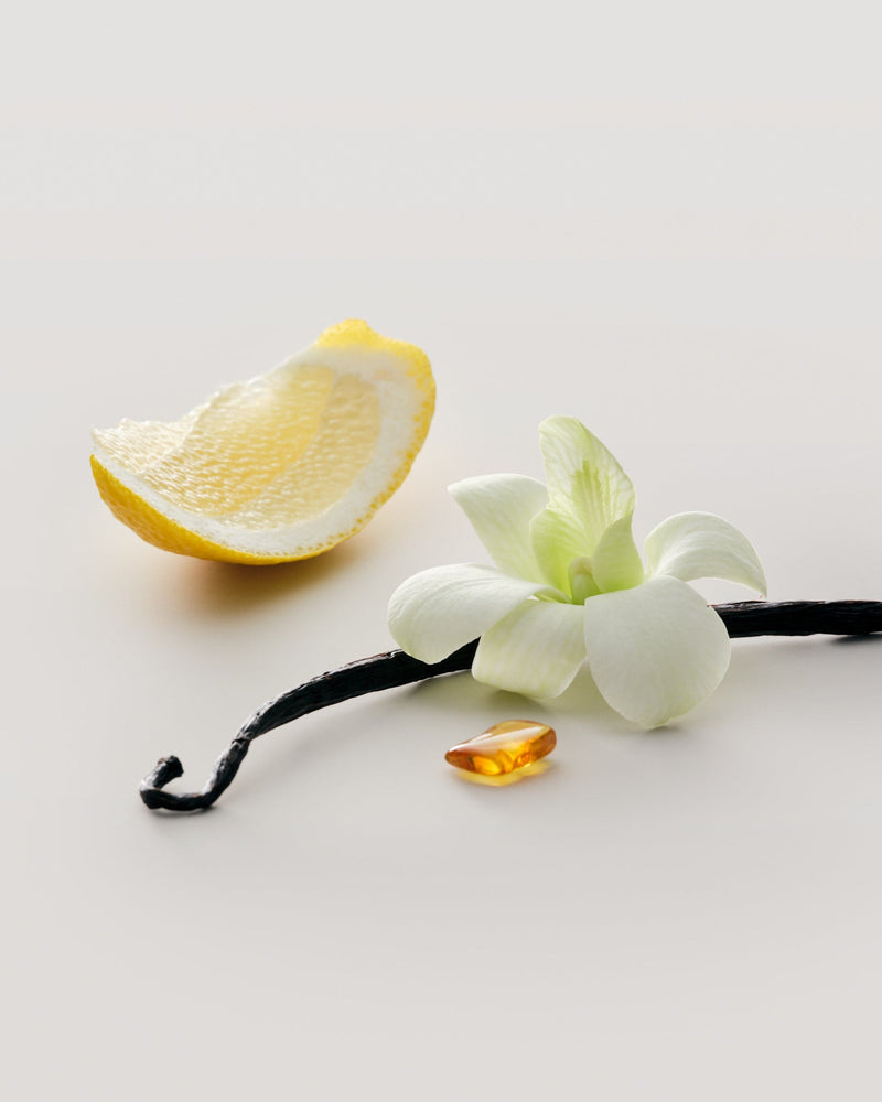 No.15 Vanille Infinie