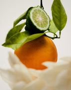 Perfume Oil - No.12 Bousval