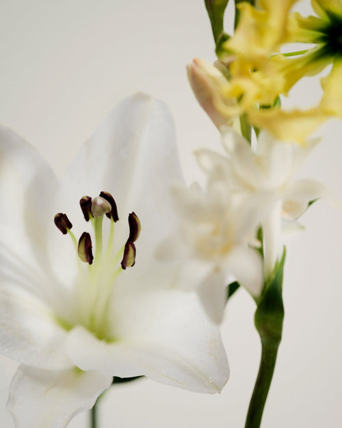 Perfume Oil - No.05 Kandilli, Mini