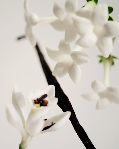 Perfume Oil - No.03 L'Etang Noir