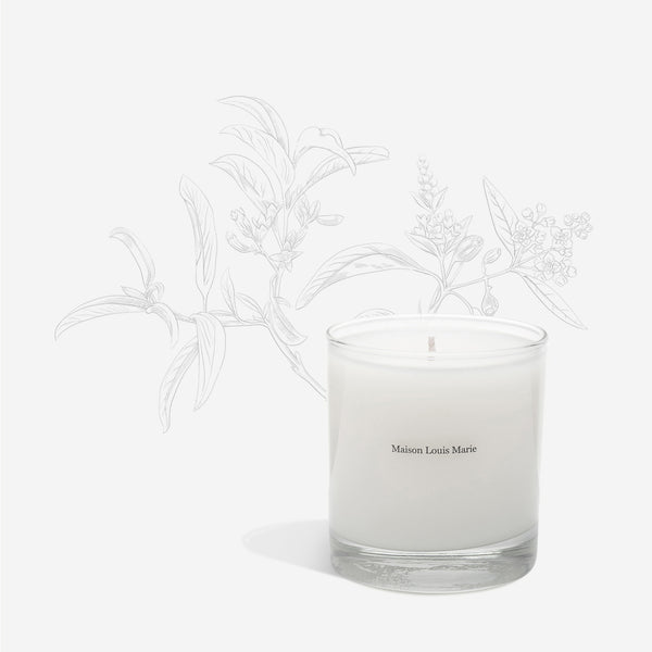 Maison louis marie no 4 bois de balincourt 2025 candle