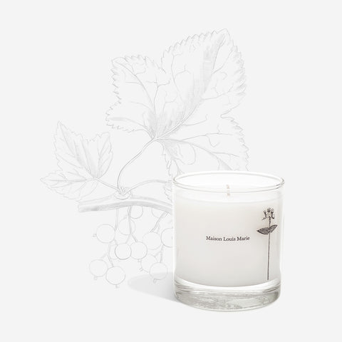 Antidris Cassis - Candle